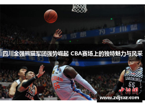 四川金强熊猫军团强势崛起 CBA赛场上的独特魅力与风采