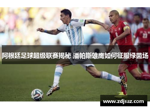 阿根廷足球超级联赛揭秘 潘帕斯雄鹰如何征服绿茵场