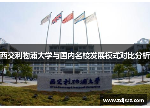西交利物浦大学与国内名校发展模式对比分析